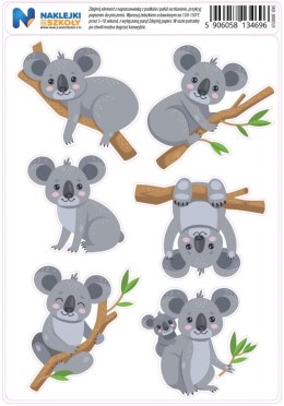 Naprasowanki z misiem koala - zestaw 6 sztuk
