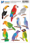 Naklejki kolorowe ptaki zestaw 9 sztuk